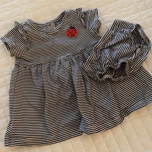 Carter’s Lady Bug Striped Dress and Bloomers 3m - Picture 4 of 5